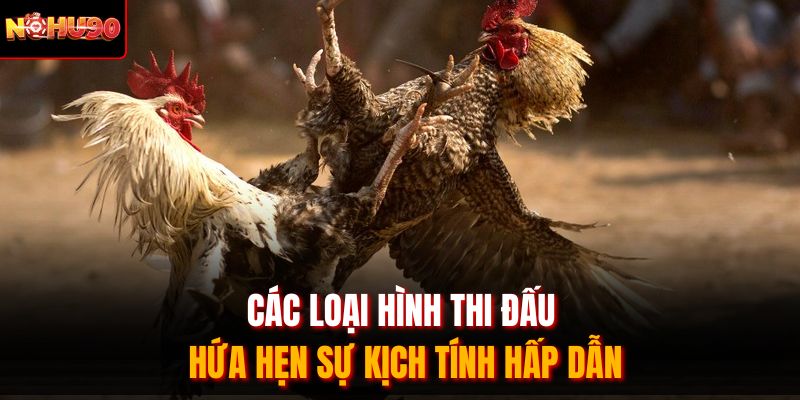 Các loại hình thi đấu hứa hẹn sự kịch tính hấp dẫn