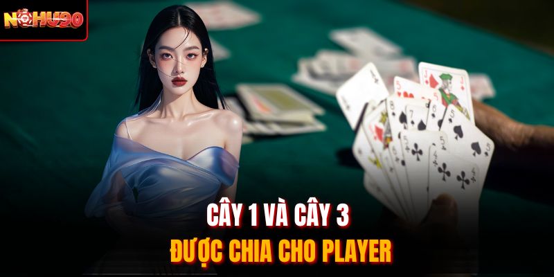 Cây 1 và cây 3 được chia cho Player