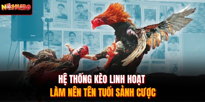 Hệ thống kèo linh hoạt làm nên tên tuổi sảnh cược
