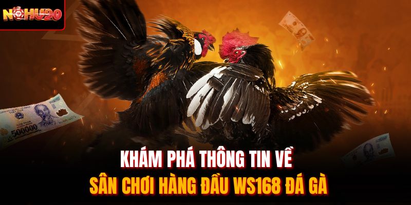 Khám phá thông tin về sân chơi hàng đầu WS168 đá gà