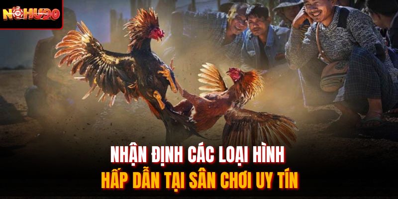 Nhận định các loại hình hấp dẫn tại sân chơi uy tín