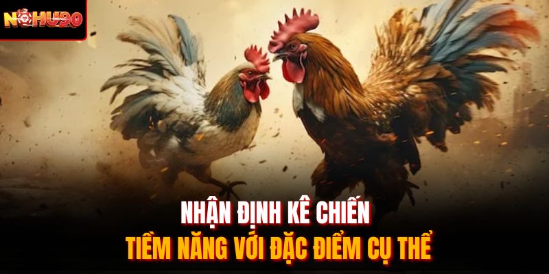 Nhận định kê chiến tiềm năng với đặc điểm cụ thể